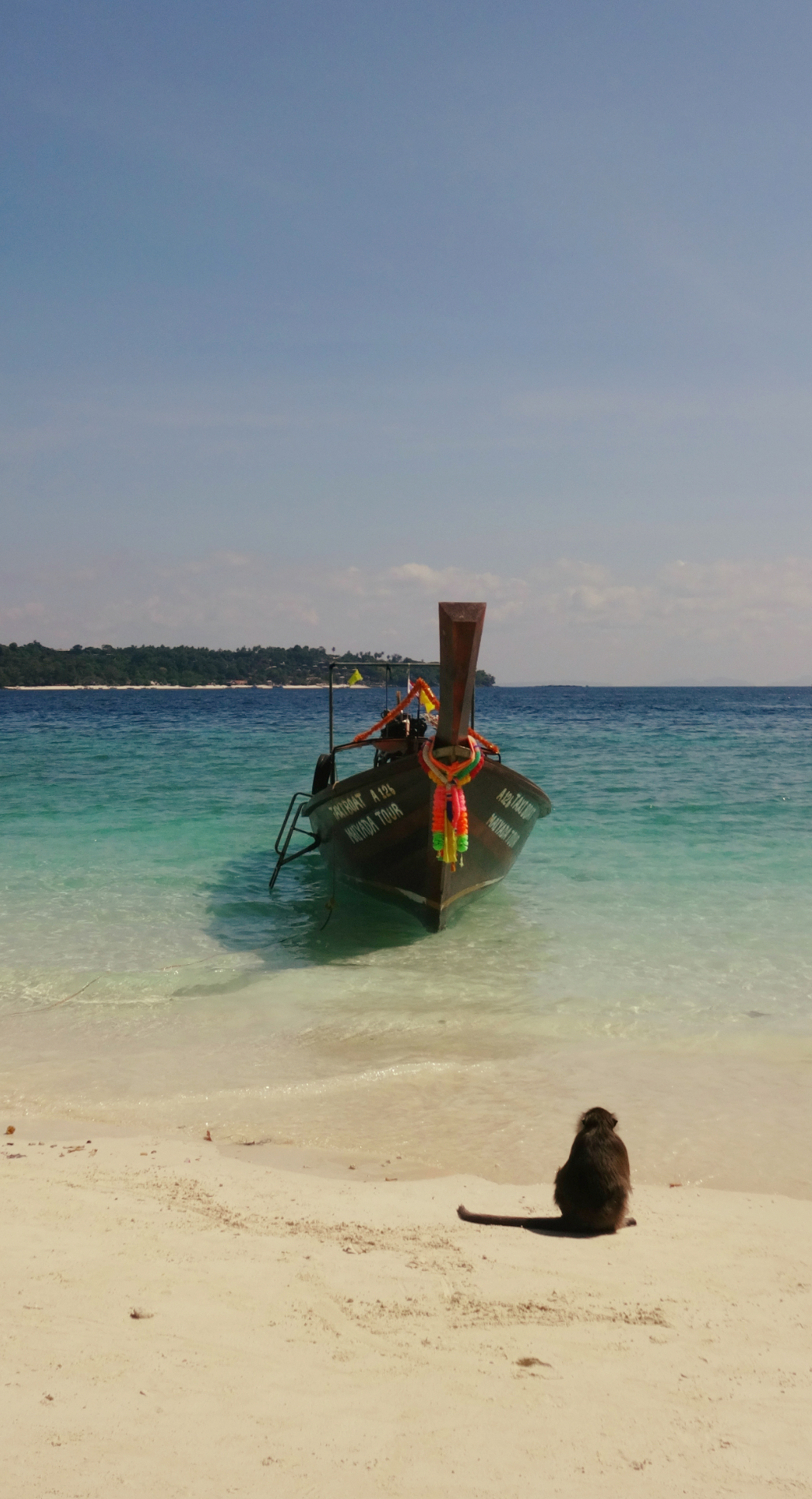 One of the monkeys checking out our long tail boat