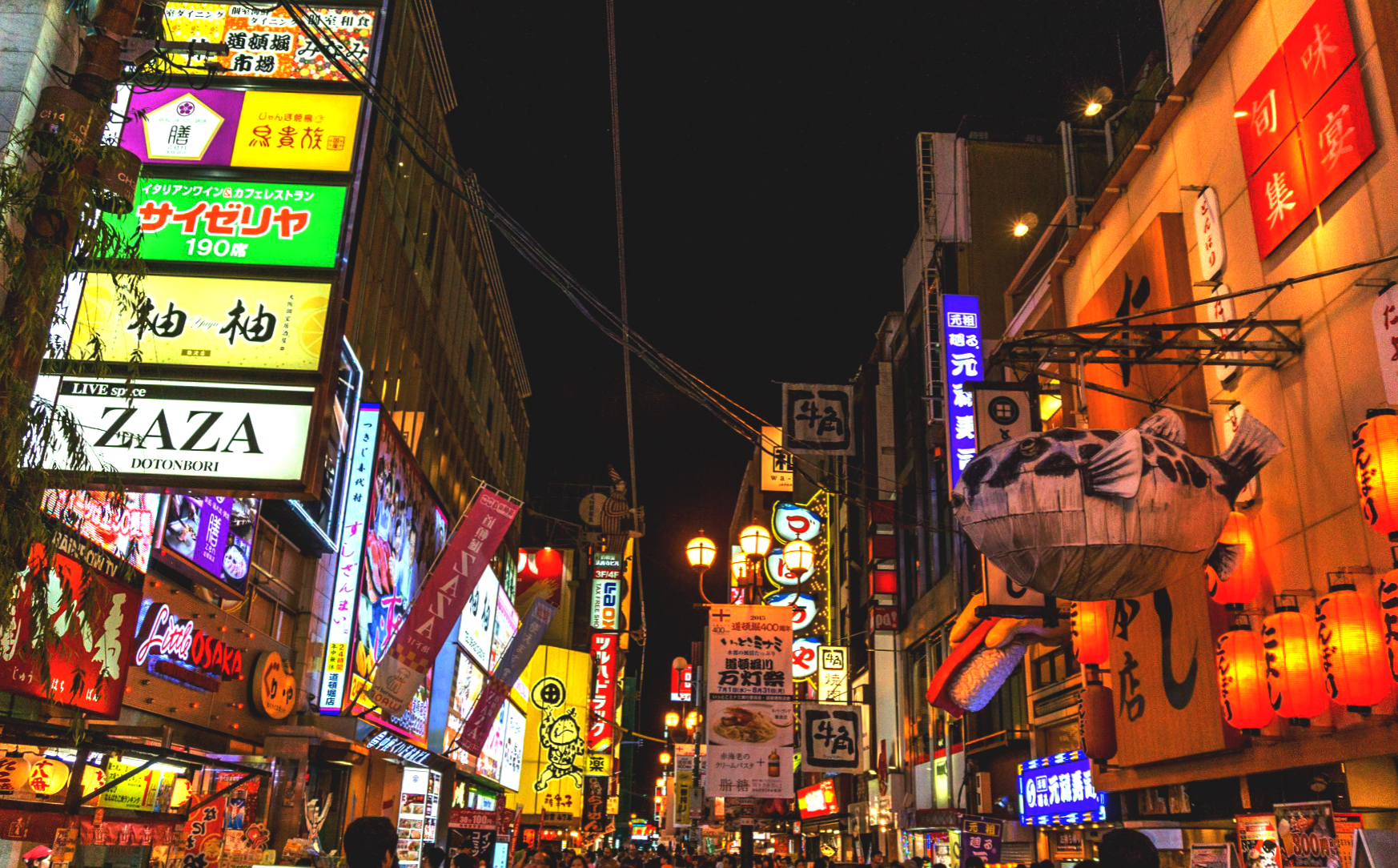 Neon glory at Dotonbori